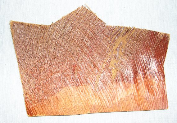 Détail de la fibre de palmier