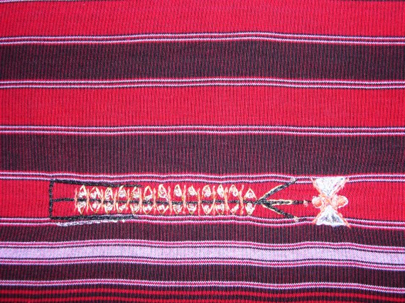 Détail des broderies 1