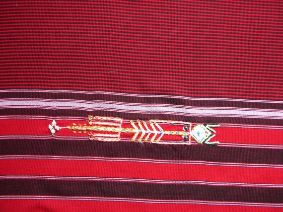 Détail des broderies 3